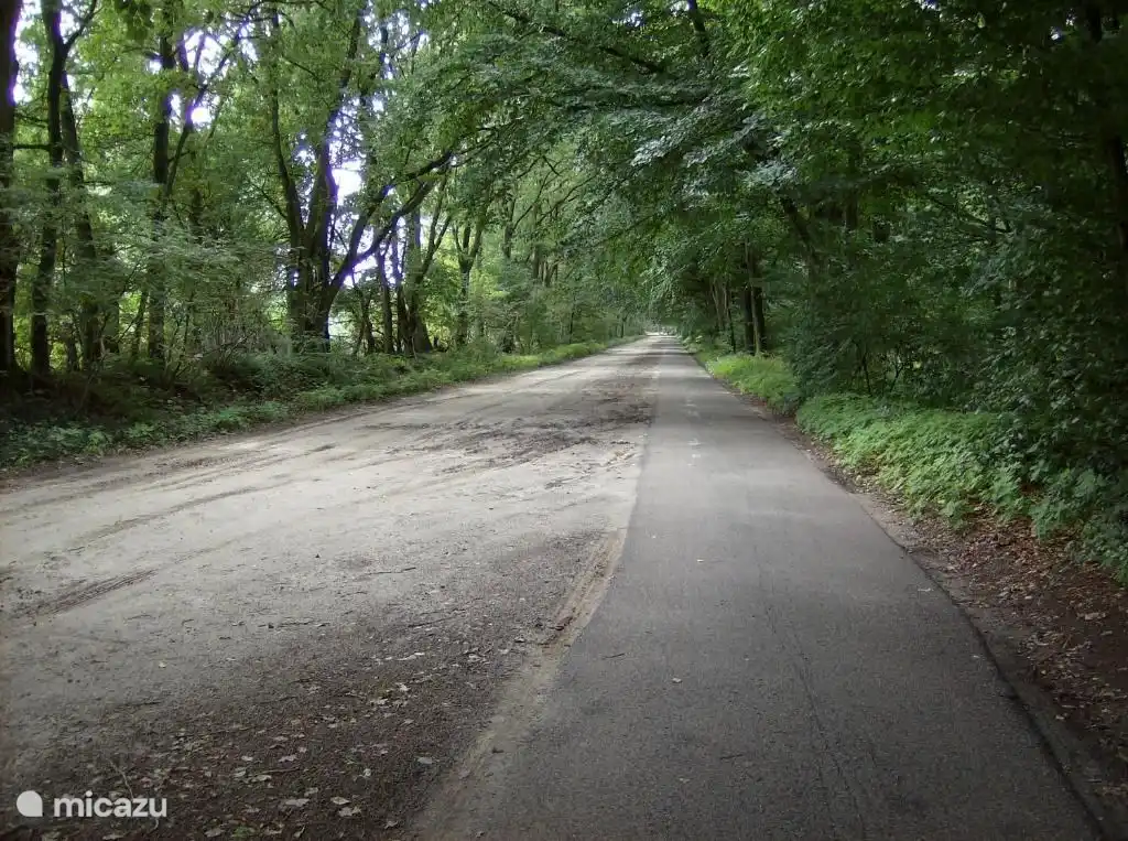 Fahrradwanderweg im Wald