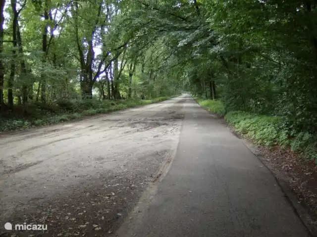 De Akkers huren in Nederland, Drenthe, De Kiel - vakantiehuis fiets wandelpad in het bos