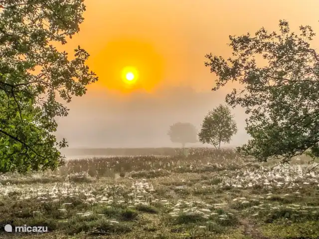 De Akkers huren in Nederland, Drenthe, De Kiel - vakantiehuis