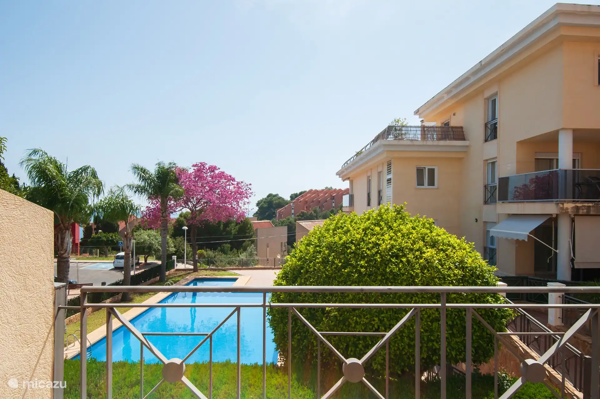 Piscine devant la terrasse