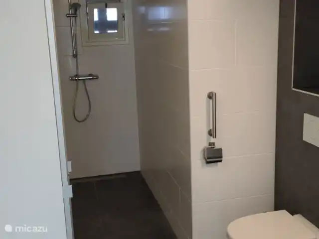 Casa de vacaciones Lagos de Frisia sin palabras en Países Bajos, Frise, Boornzwaag - casa vacacional Cuarto de baño con ducha a ras de suelo, inodoro, lavabo y armarios