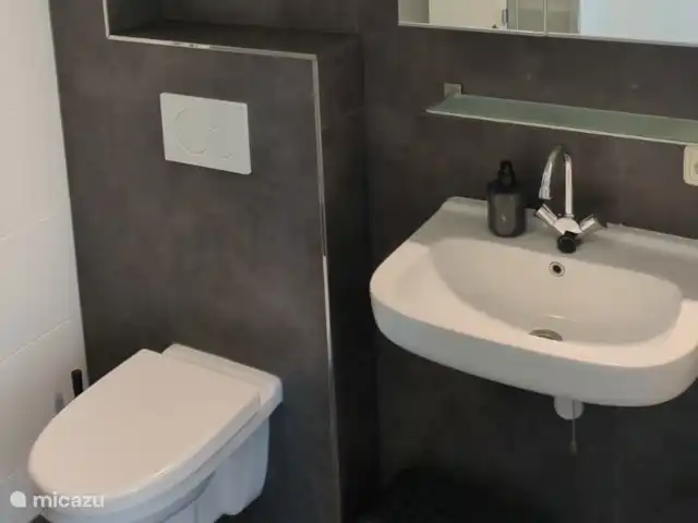 Casa de vacaciones Lagos de Frisia sin palabras en Países Bajos, Frise, Boornzwaag - casa vacacional Se ha colocado un soporte junto al inodoro para discapacitados. El lavabo es accesible para sillas de ruedas.