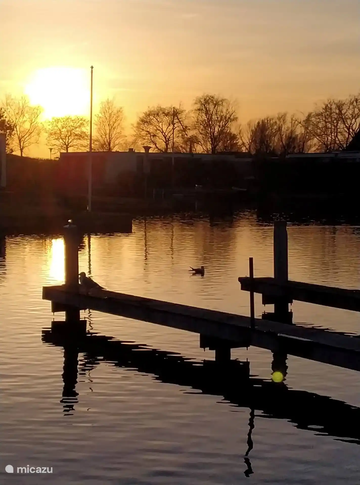 Die untergehende Sonne genießen.