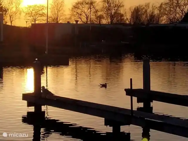 Casa de vacaciones Lagos de Frisia sin palabras en Países Bajos, Frise, Boornzwaag - casa vacacional Disfrutando de la puesta de sol.