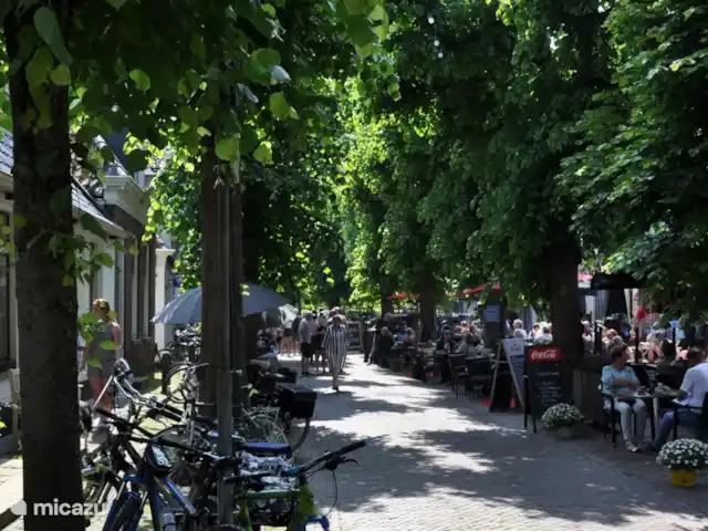 Casa de vacaciones Lagos de Frisia sin palabras en Países Bajos, Frise, Boornzwaag - casa vacacional El pintoresco pueblo de Langweer. Aquí encontrará panadería, carnicería, supermercado local y maravillosos restaurantes con terrazas para tomar un aperitivo y una bebida.