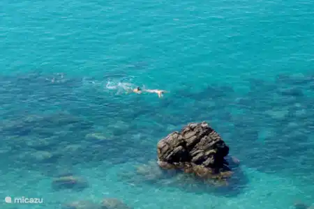 Snorkeling à Maro