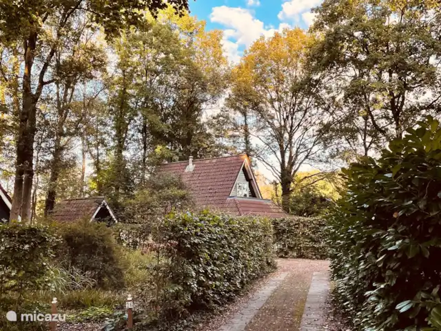 Maison de vacances Winterswijk | Pays-Bas, Gueldre, Winterswijk - maison de vacances Allée