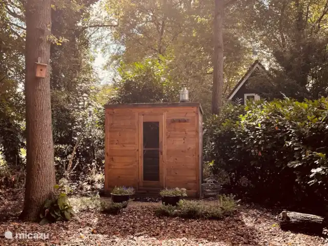 Maison de vacances Winterswijk | Pays-Bas, Gueldre, Winterswijk - maison de vacances Sauna