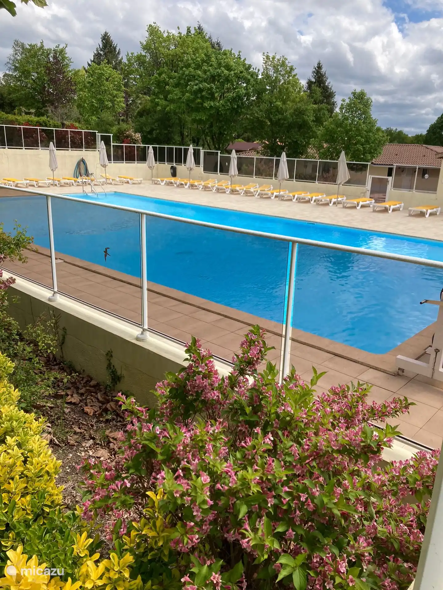 Beheizter Pool mit Liegestühlen und Sonnenschirmen