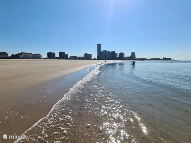 Maison de vacances vue mer | Pays-Bas, Zélande, Flessingue - maison de vacances Boulevard de la plage Vlissingen