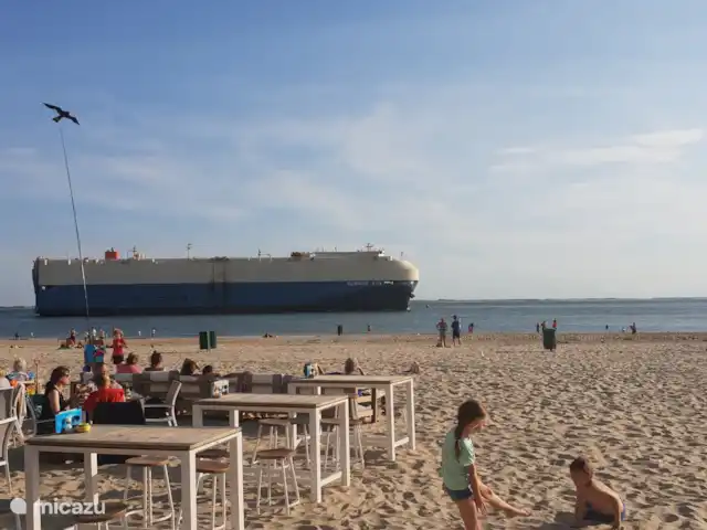Maison de vacances vue mer | Pays-Bas, Zélande, Flessingue - maison de vacances Boulevard de la plage Vlissingen