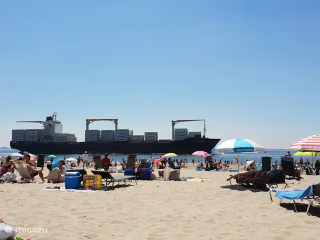 Maison de vacances vue mer | Pays-Bas, Zélande, Flessingue - maison de vacances Boulevard de la plage Vlissingen
