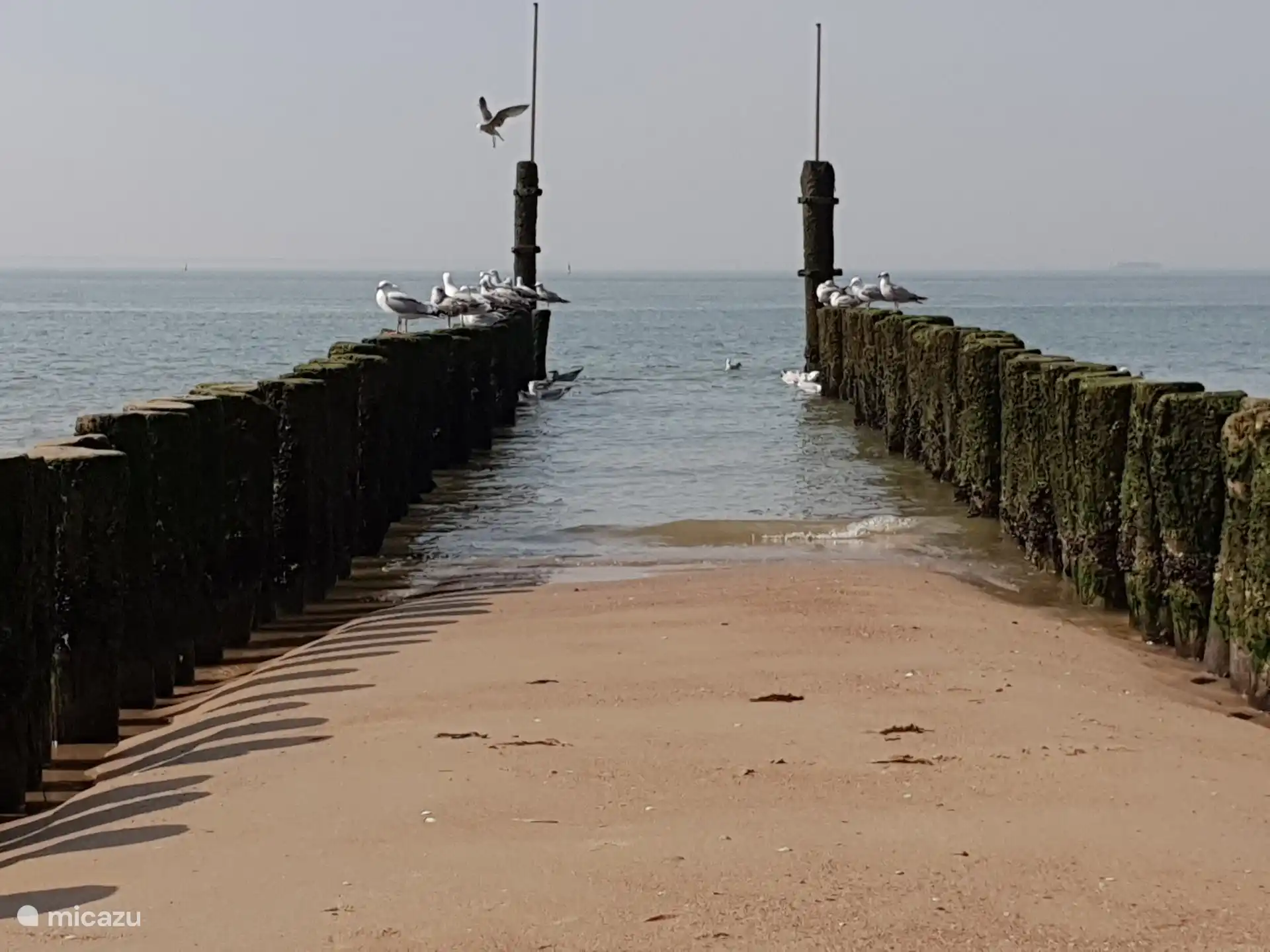 Badestrand Vlissingen Boulevard