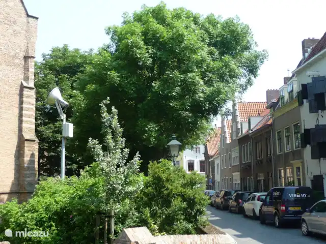 Maison de vacances vue mer | Pays-Bas, Zélande, Flessingue - maison de vacances Une des nombreuses rues historiques du centre de Vlissingen, facilement accessible à pied.