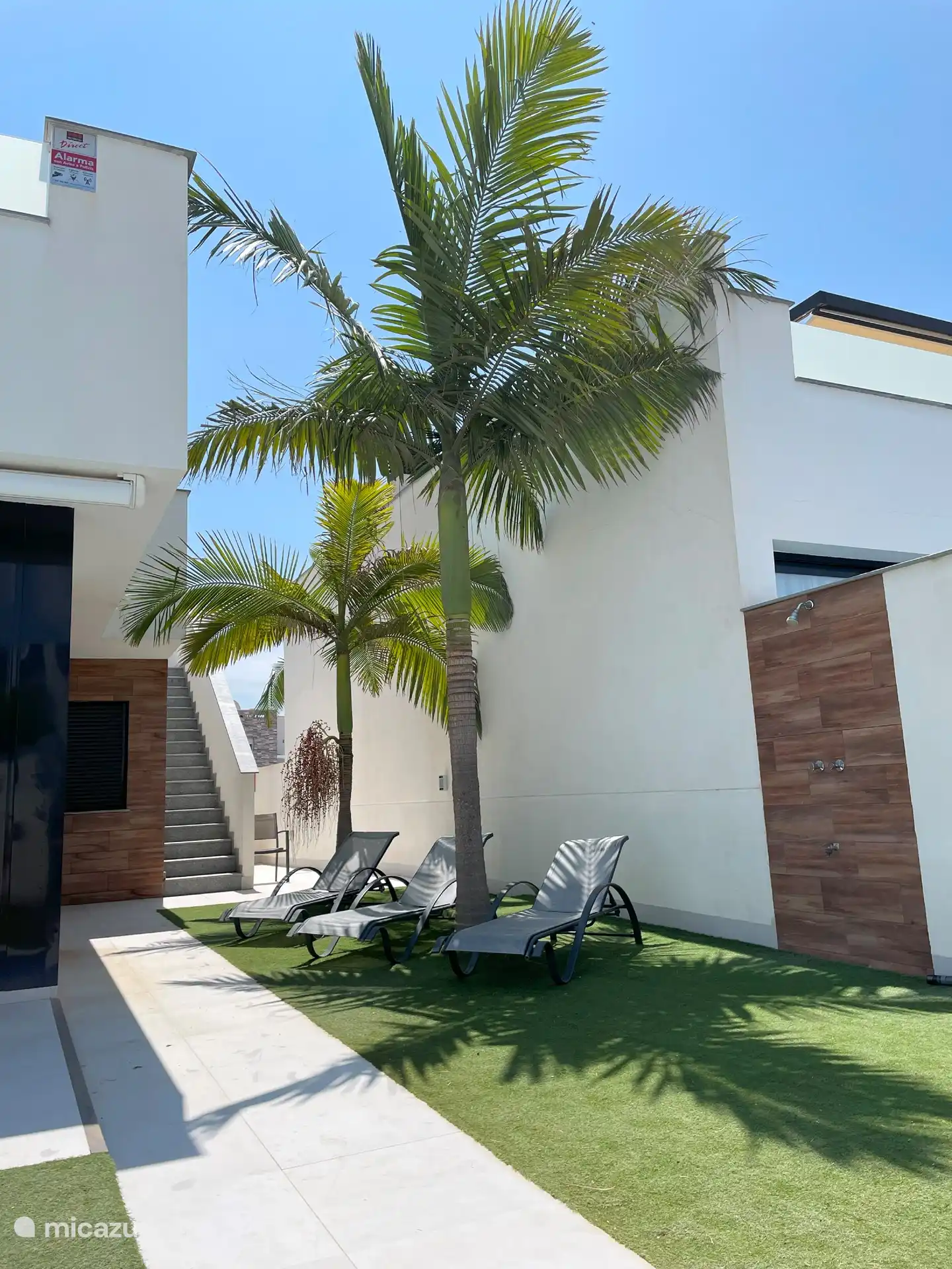 Profitez d'une sieste sous le palmier