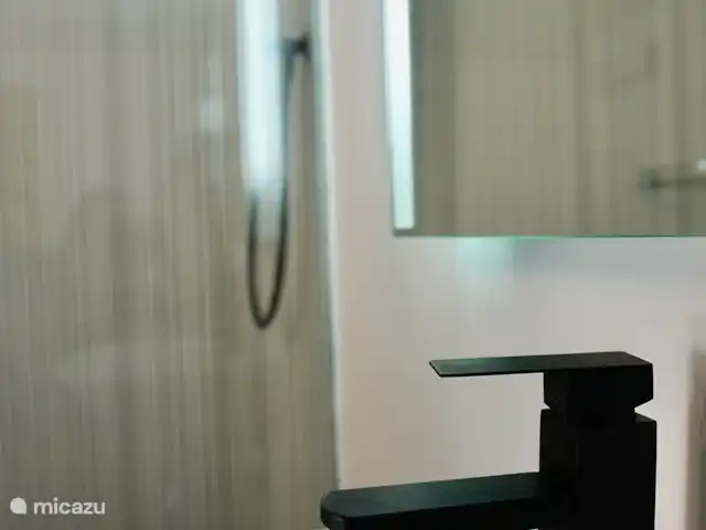 studio en Curazao, Curazao Centro, Santa Rosa-Scherpenheuvel – Estudio Rosa - apartamentos Aquila Grifo de baño nuevo.