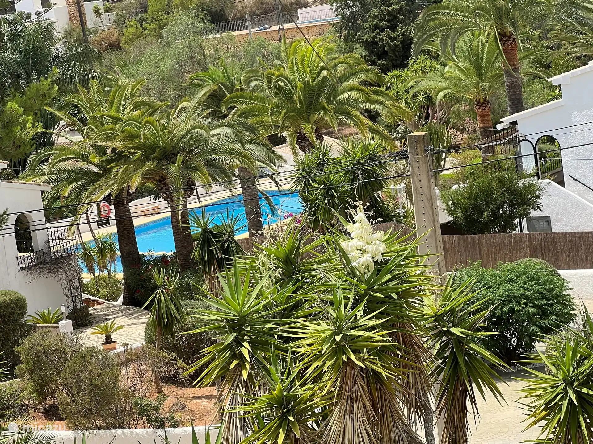 Heerlijk groot zwembad met douche voor gemeenschappelijk gebruik.