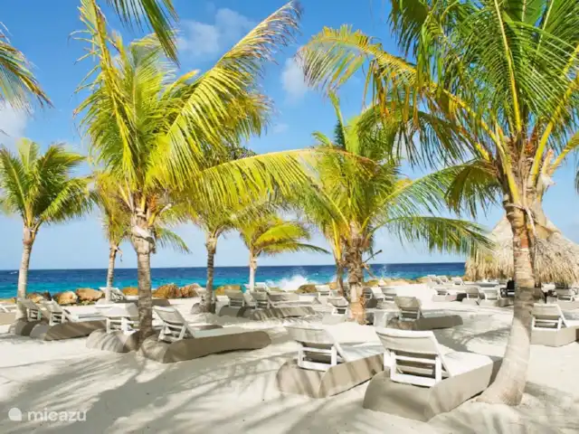 NOUVELLE Villa à Vista Royal 2-16 p. | Curaçao, Banda Ariba (est), Vista Royal - villa Plage Papagayo à distance de marche.