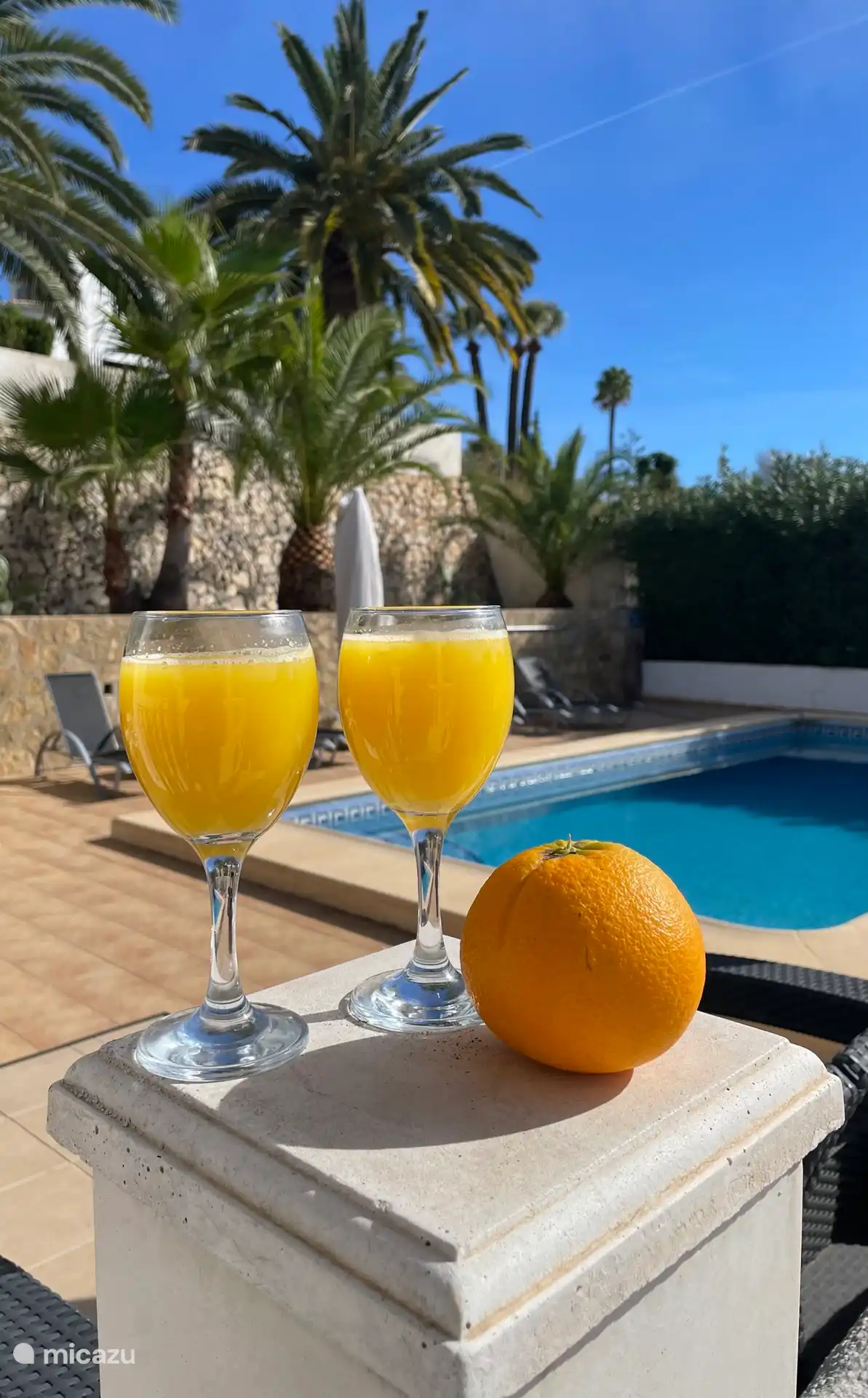 Vitamines « Vacances »