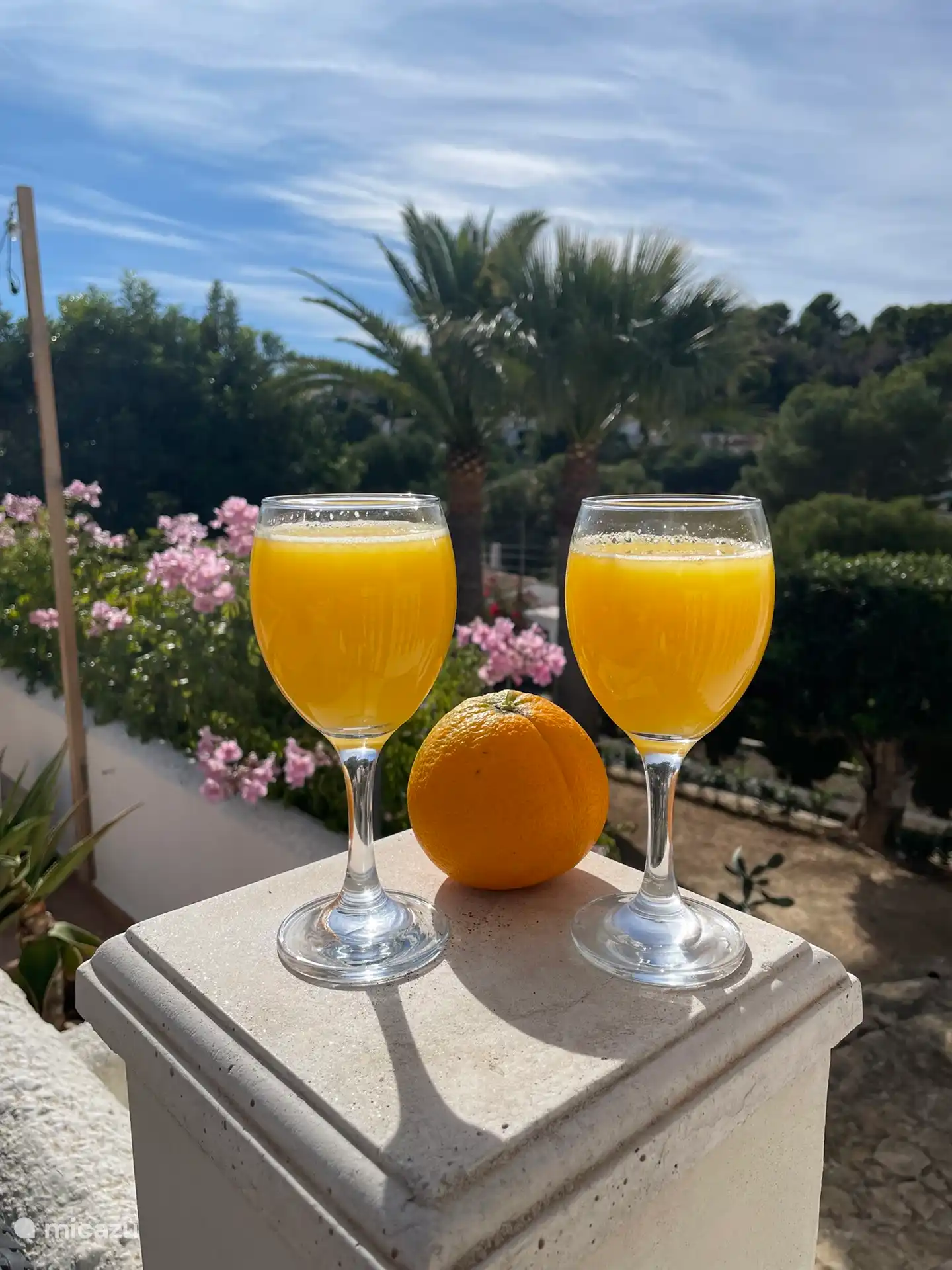 Du jus d’orange de votre propre jardin, ou choisissez un citron ou une mandarine