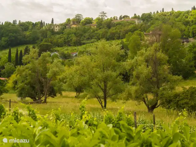 Villa Adami huren in Italië, Toscane, Pistoia - villa Villa Adami
