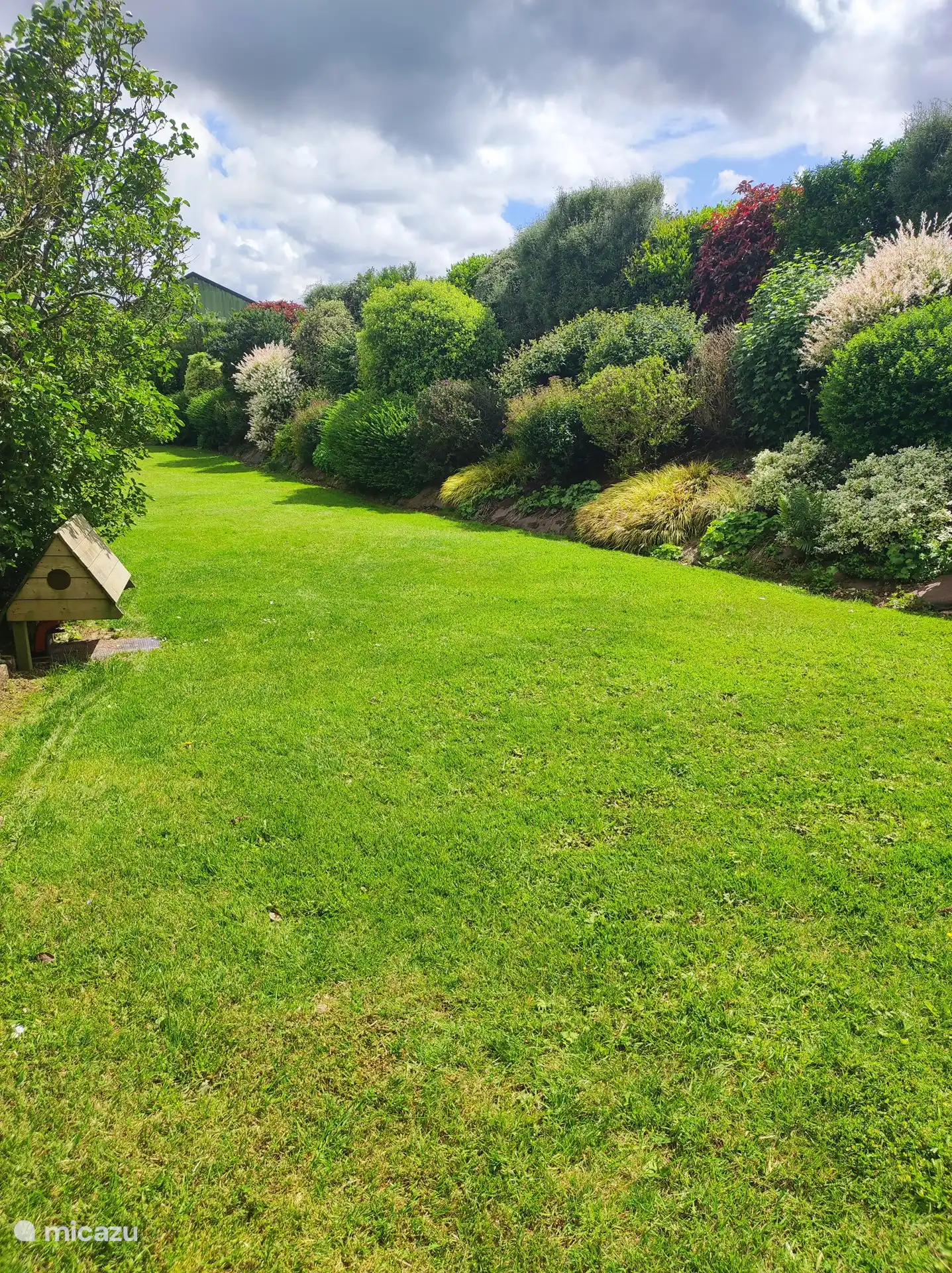 Blick auf den Garten