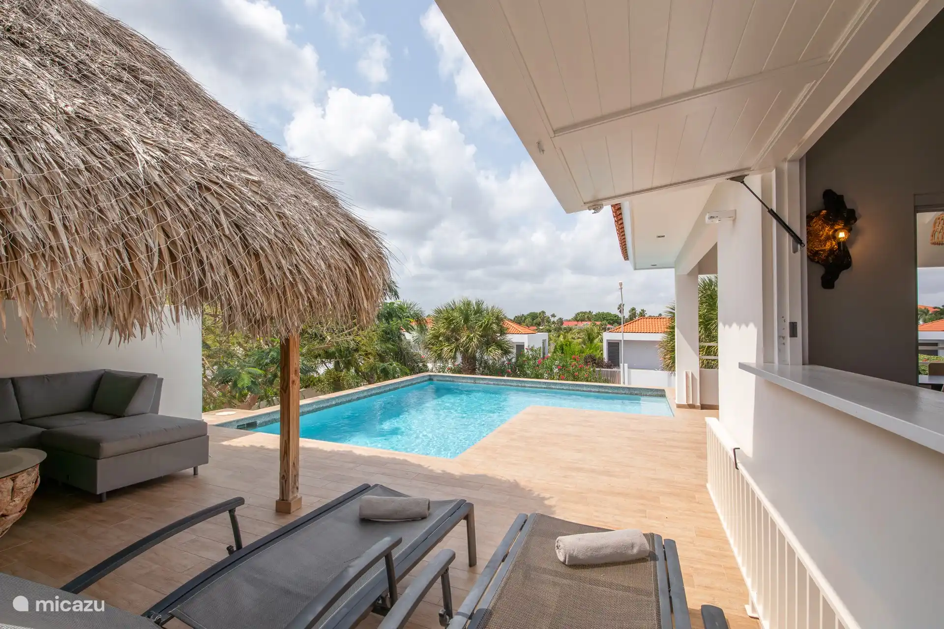 Swimming pool with palapa