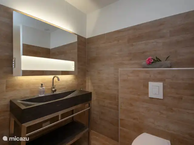 Location de Vacances Curaçao, Banda Ariba (est), Vista Royal, appartement - Villa Fortuna Salle de bain 1