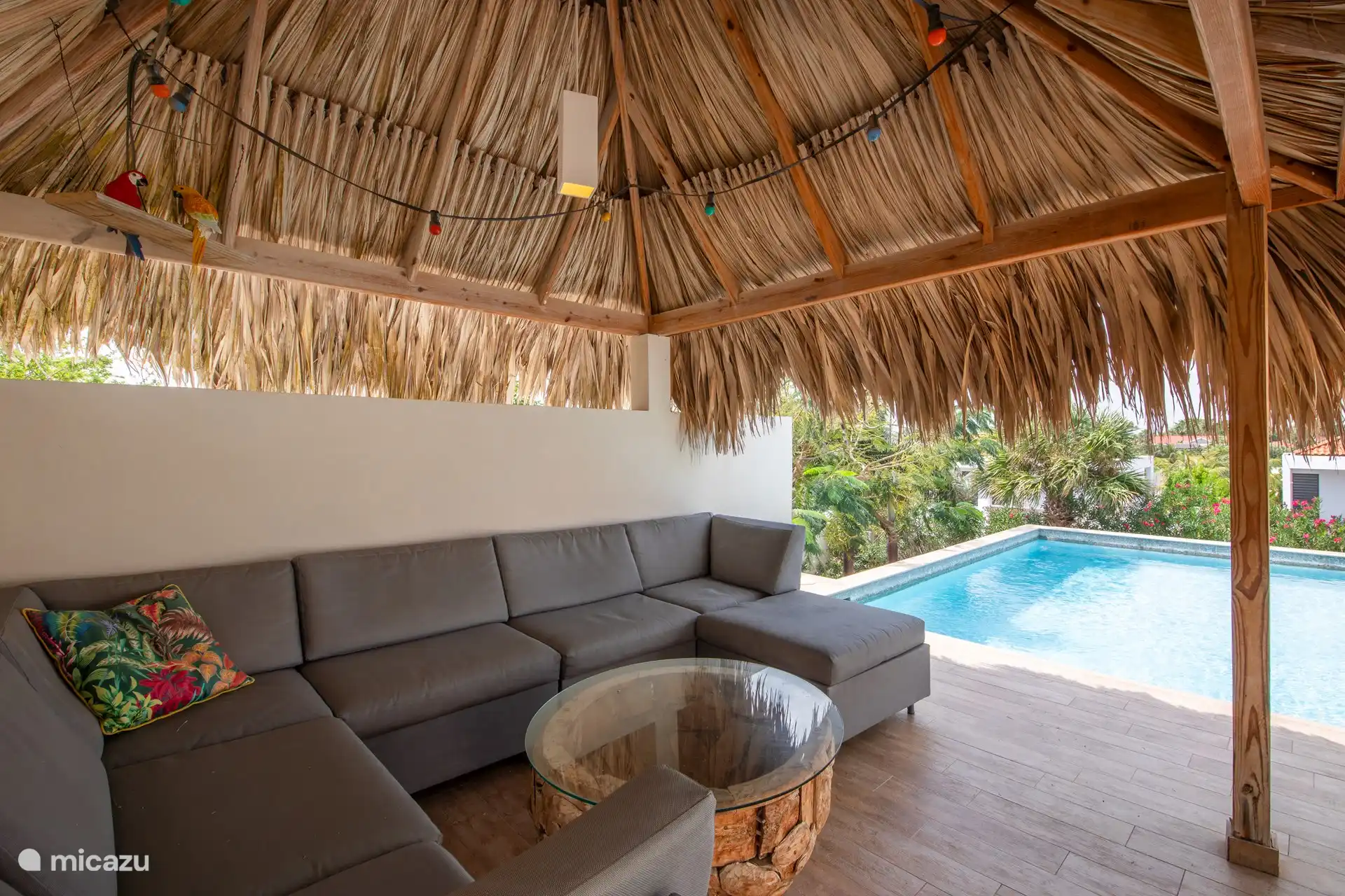 Palapa by pool