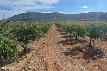 Belle marche et vélo dans les collines