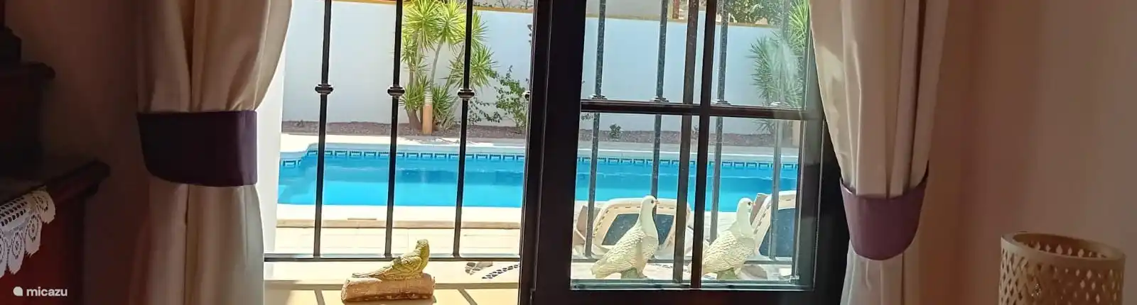 View of the pool from the bedroom window.