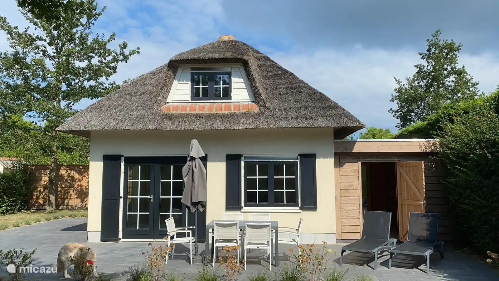 Nahaufnahme von hinten 