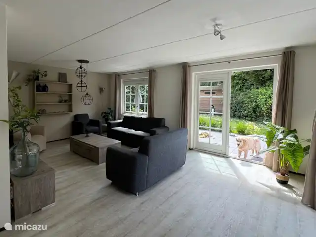 Maison de vacances de charme près de la mer | Pays-Bas, Zélande, Kamperland - maison de vacances Salon avec façade vers l’extérieur
