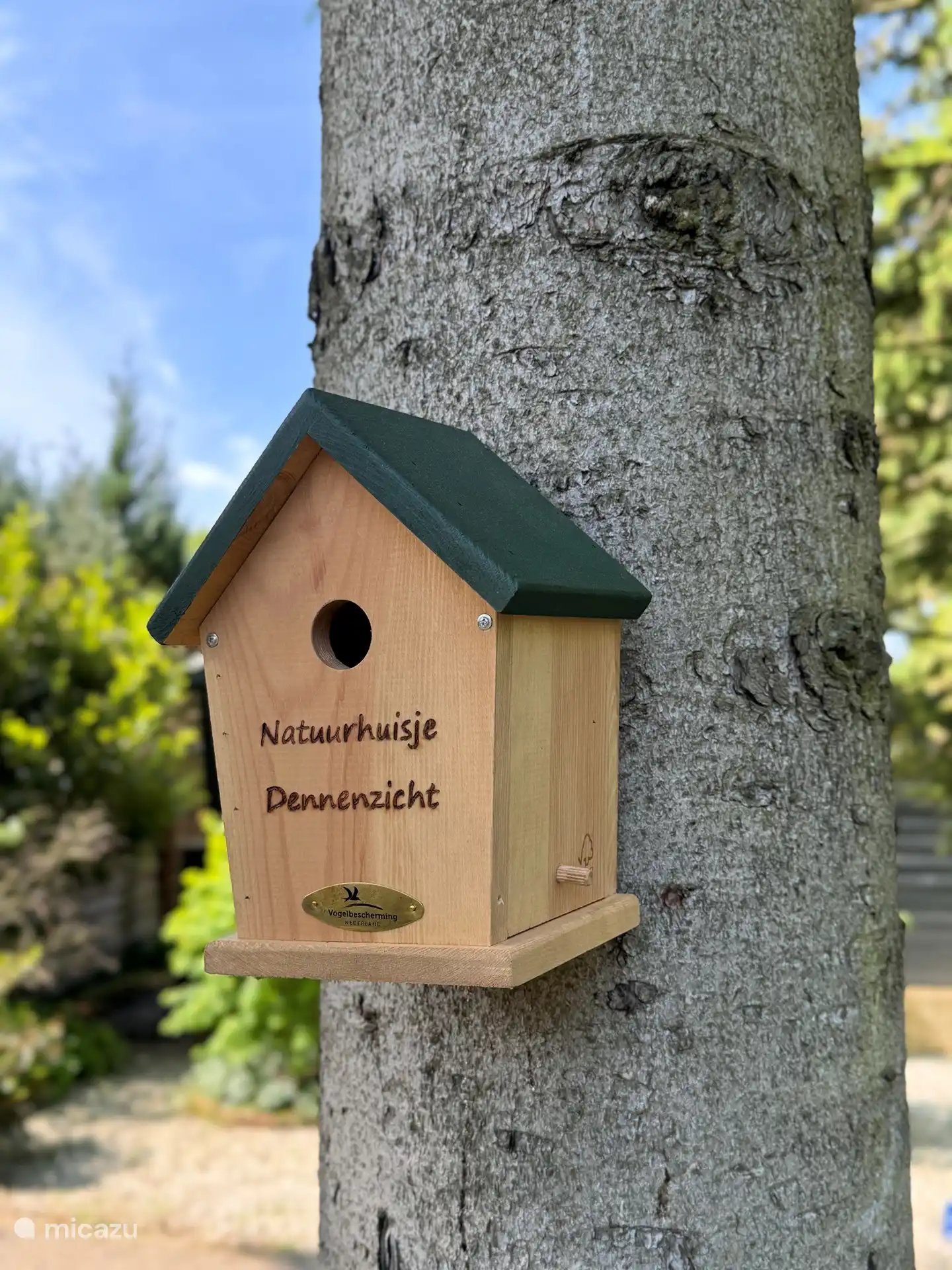 Das Naturhaus Dennzicht ist von Pinien umgeben. Ein wunderbarer Ort, um sich vollkommen zu entspannen