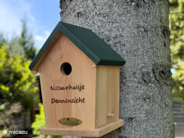 Maison de la Nature Dennenzicht - @Veluwe | Pays-Bas, Gueldre, Wells - chalet La maison naturelle Dennenzicht est entourée de pins. Un endroit merveilleux pour se détendre complètement