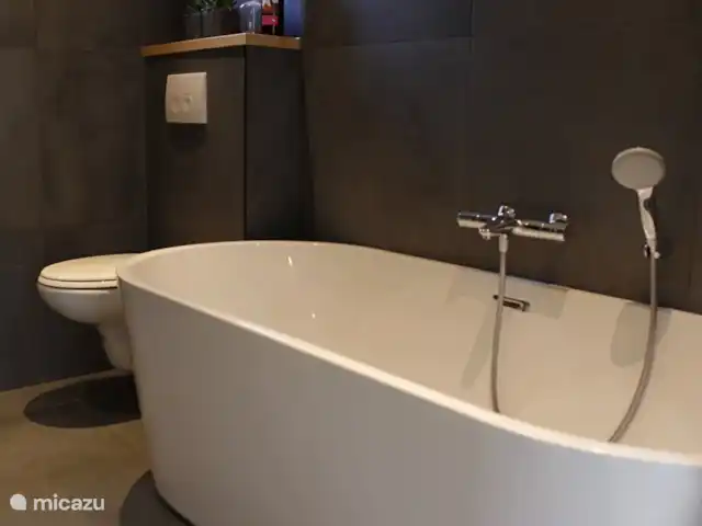 Maison de la Nature Dennenzicht - @Veluwe | Pays-Bas, Gueldre, Wells - chalet Détendez-vous dans le joli bain.