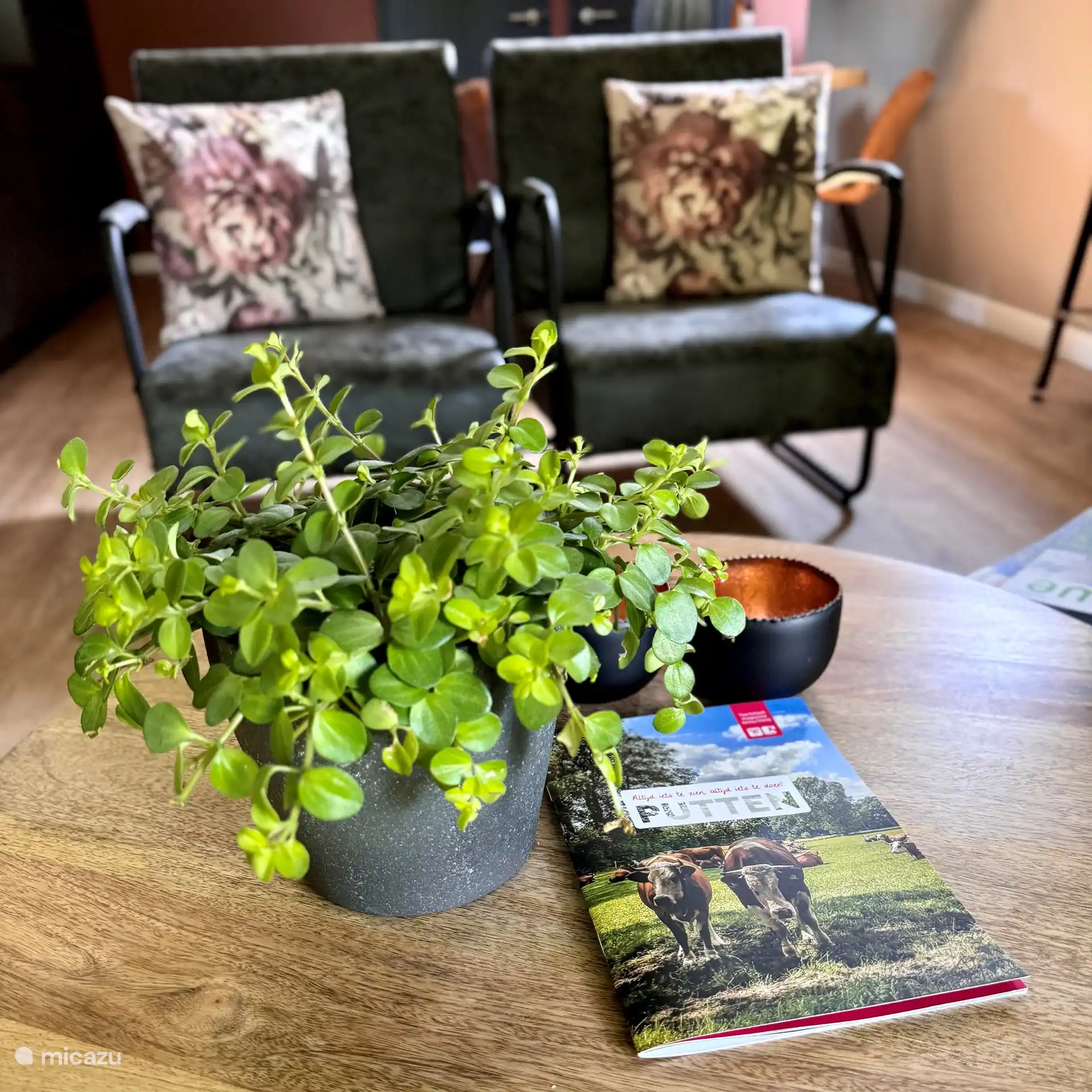 Im Haus finden Sie zahlreiche Tipps für Ausflüge in die Umgebung. 