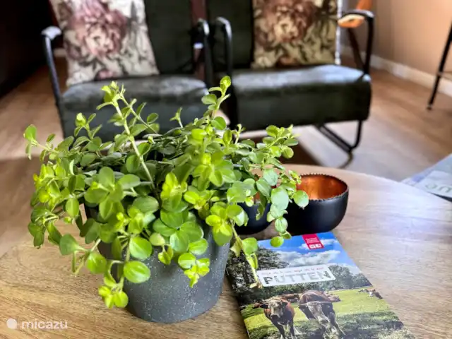 Maison de la Nature Dennenzicht - @Veluwe | Pays-Bas, Gueldre, Wells - chalet Dans la maison, vous trouverez de nombreux conseils pour des excursions dans la région.