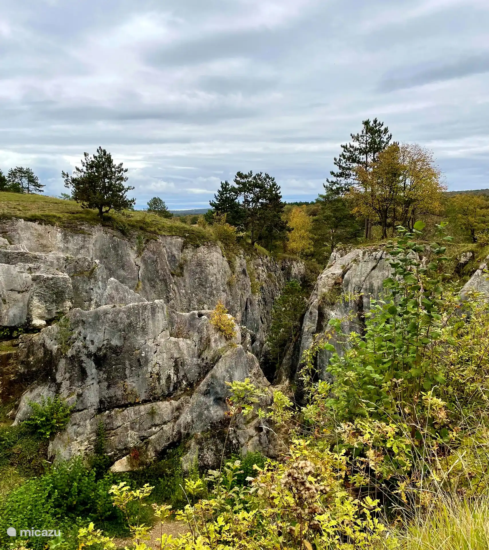 Die Fondry des Chiens in Nismes ist ein herrliches Naturdenkmal in den Ardennen, das durch das Eindringen von Wasser durch den kalkhaltigen Boden entstanden ist.