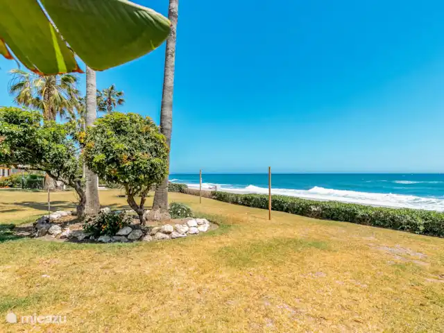 Seaflower Beachfront Apartment huren in Spanje, Costa del Sol, Torrox-Costa - appartement Tuin en zee