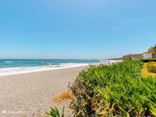 Seaflower Beachfront Apartment huren in Spanje, Costa del Sol, Torrox-Costa - appartement Strand