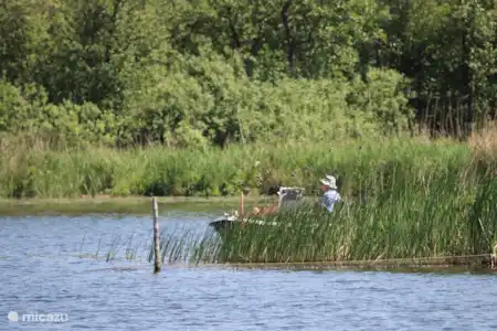 Parc national Alde Feanen