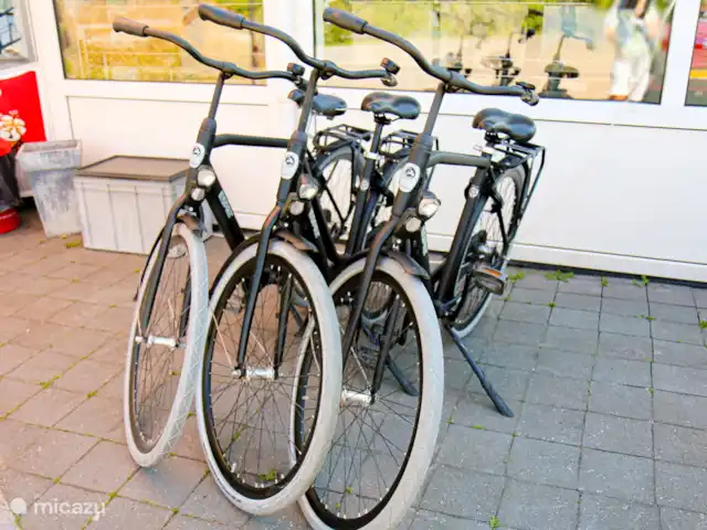 Sralreiger Chalet-lodge avec climatisation | Pays-Bas, Frise, Grouw - chalet Belles balades à vélo dans la région et renseignez-vous à la réception sur la location de vélos