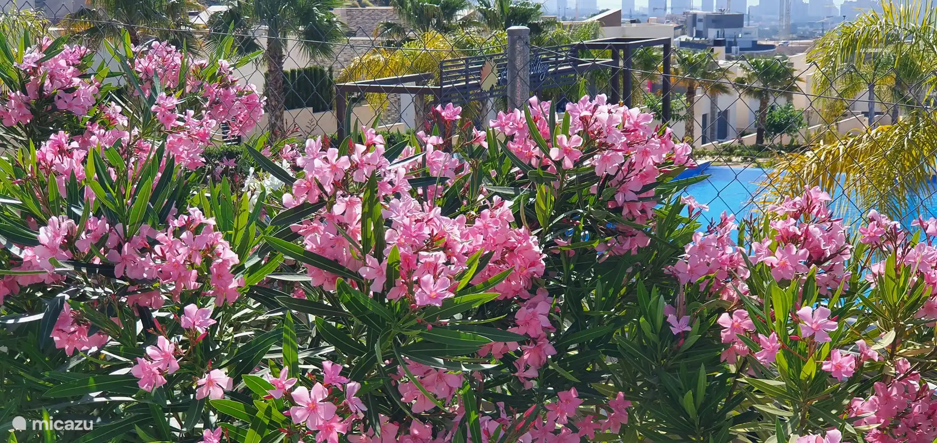 Jardín muy bien cuidado