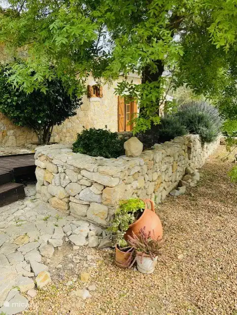 Hibiskus-, Lavendel-, Agaven- und Rosmarinhecken gibt es im Überfluss