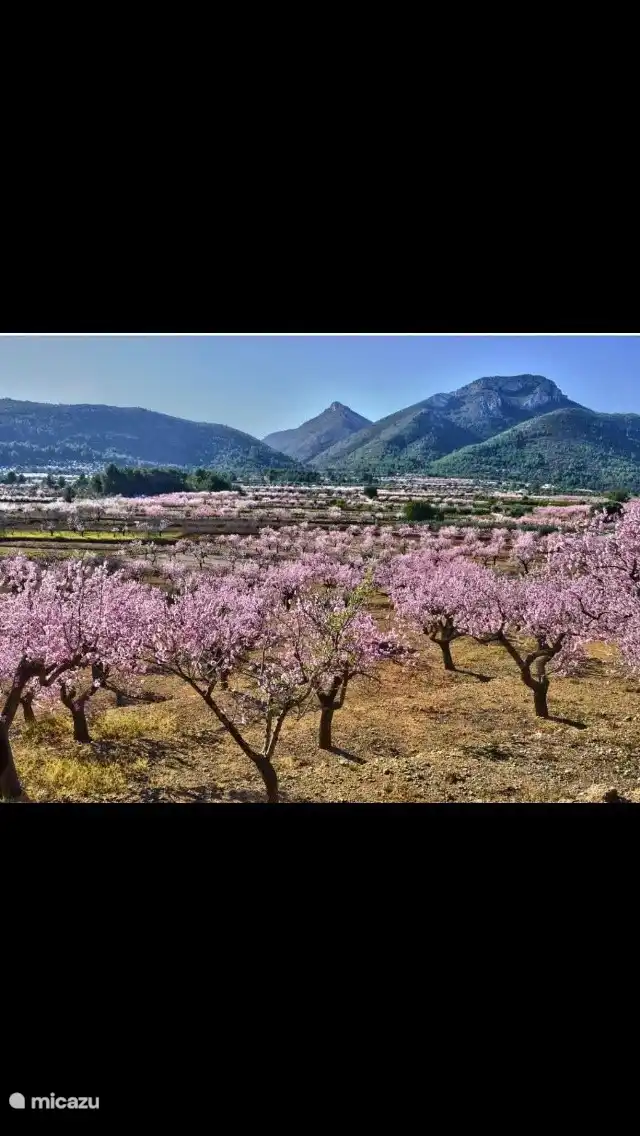 Vom Haus aus hat man einen sch&#246;nen Blick &#252;ber das Tal und besonders wenn die B&#228;ume bl&#252;hen, sieht es wundersch&#246;n aus.