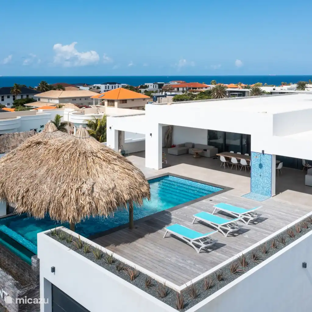 Villa met zeezicht en infinity pool