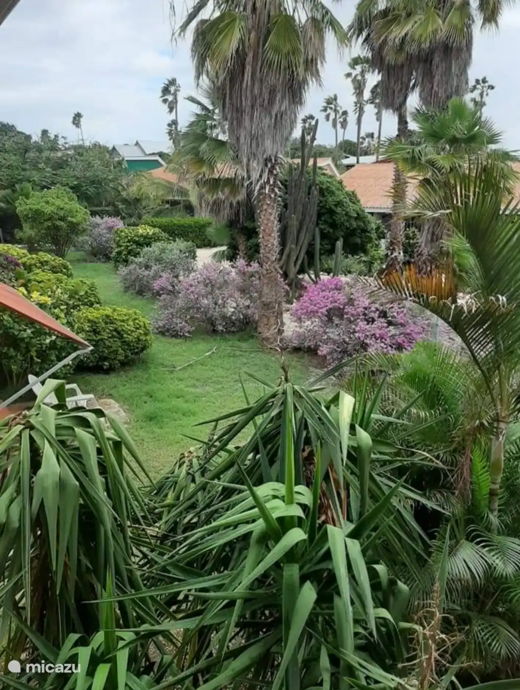 Gartenblick von der Terrasse