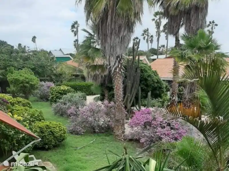 Seru Coral Dolfijn 2 p appartement huren in Curaçao, Curacao-Midden, Koraal Partier - Appartement Seru Coral Dolfijn 2 p appartement huren in Curaçao, Curacao-Midden, Koraal Partier - Appartement