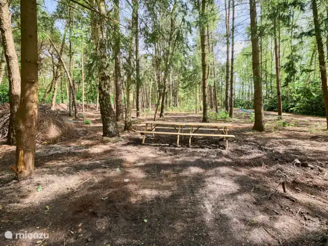 Villa Bosrijk maison de vacances Bosland | Belgique, Limbourg, Lommel - maison de vacances Jardin/forêt